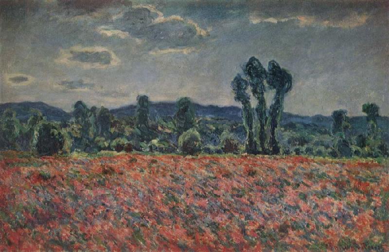 Claude Monet Poppy Field oil painting picture